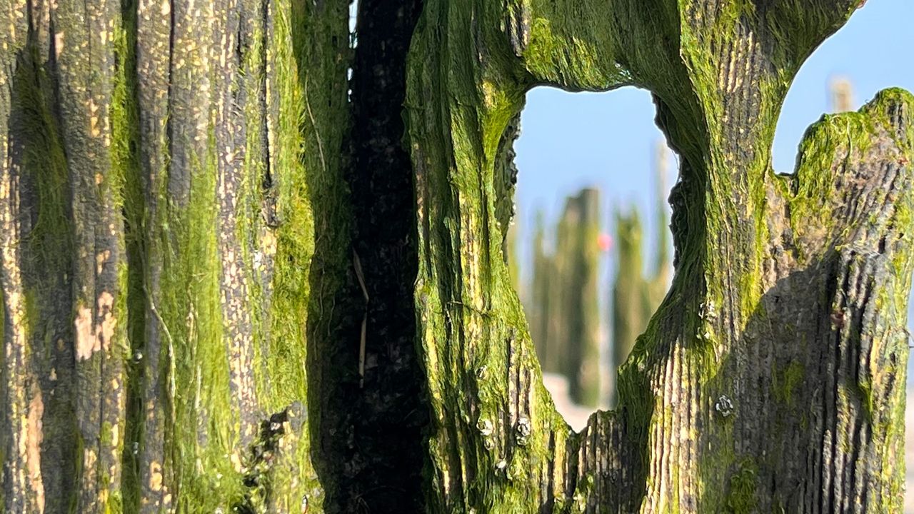 Landschaft Landschaft